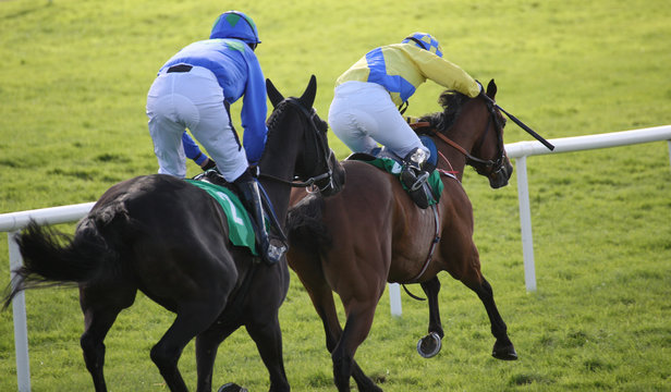 Two race horses and jockeys competing in a race