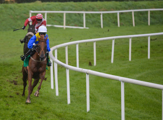 Horses galloping on the racetrack 