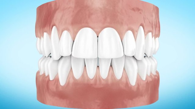 Beautiful White Clean Teeth Zoom Close Up 3d Animation. Alpha Channel. Full HD 1920x1080.