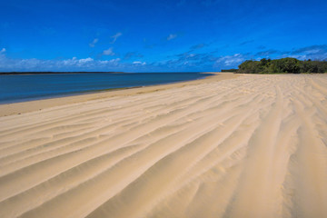White large beach with wind blowing over it. Small sand dunes under blue sky on Fraser Island, Australia.