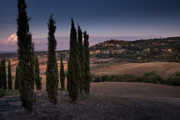 Fototapeta premium Casale Marittimo, Tuscany, Italy, view from the cypresses on september