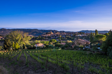 Montescudaio, Tuscany, Italy, view from the vineyard on september
