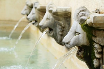 Fototapeta na wymiar Lion statue spitting water vintage style in garden