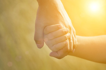 Hands of mother and daughter holding each other on field