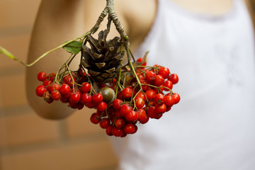 Rowan in the hands of a child