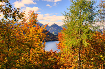 Obraz premium Bavarian Alps in the autmun eason with corful trees and a view of the Limestone Alps over Lake Constance