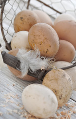 œufs frais dans panier renversés sur une table