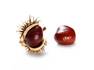 Chestnuts isolated on white background