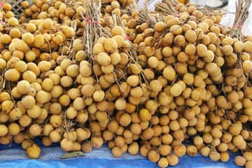 Fresh longan is delicious , Thai fruit
