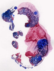 Bright painted watercolor texture. Hand drawn background with text place.