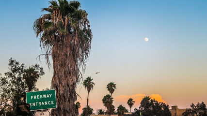 Visiting Los Angeles in California