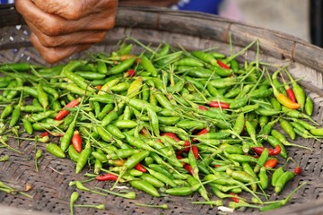 Fresh chilli for cooking in the market