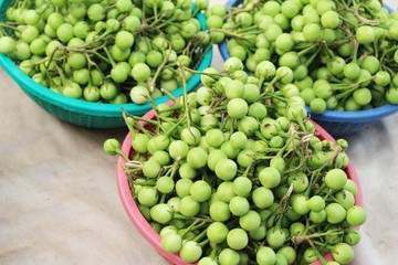Fresh eggplant green organic is a bunch