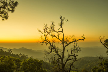 Beautiful Sun rise in Thailand, Chiangmai