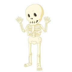 Cartoon funny human skeleton dancing