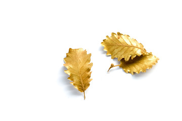 Golden leaf on white background with copy space