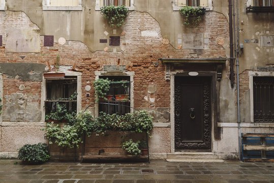 Old weathered building with plants growing on facade