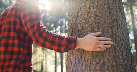 Unrecognizable portrait of young man walking in a forest. Close up of a male hand touching tree in the woods. 