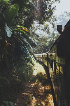Trainride to Kandy, Sri Lanka