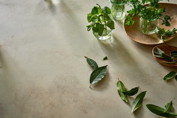 Different herbs on plaster table for wellness