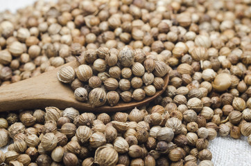 coriander seed on table for cook