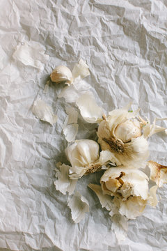 Head of garlic