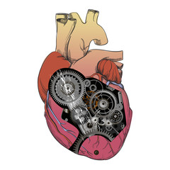 heart with mechanism