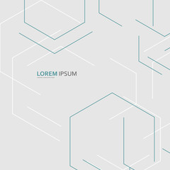Creative Background Large Hexagons / Vector For Advertising Purposes