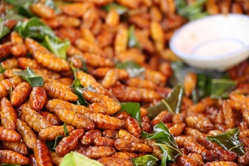 Fried silk worms delicious in street food