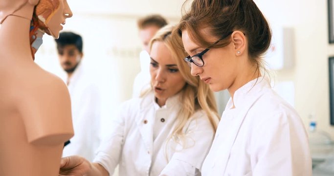 Students of medicine examining anatomical model in classroom