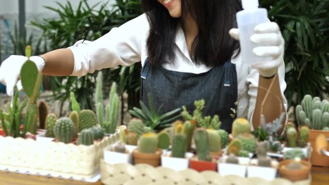 4K Slow motion of Young Asian woman florist planting cactus