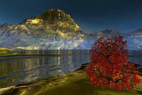  Golden lake, a beautiful landscape , grass and shrubs in the mountain, calm waters and a tree with red and yellow leaves.