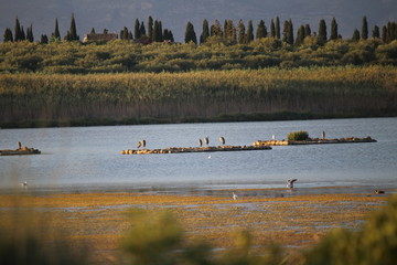 Vendicari, riserva naturale