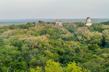 Temples at the archaelogical site Tikal, Guatemala