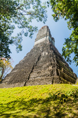 Fototapeta na wymiar Temple I at the archaeological site Tikal, Guatemala