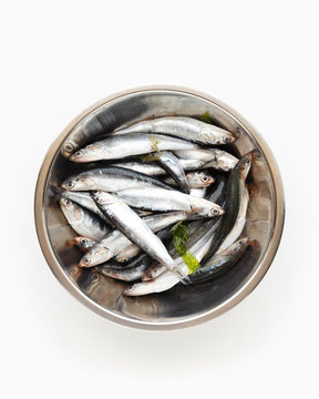 fresh anchovies in a stainless bowl