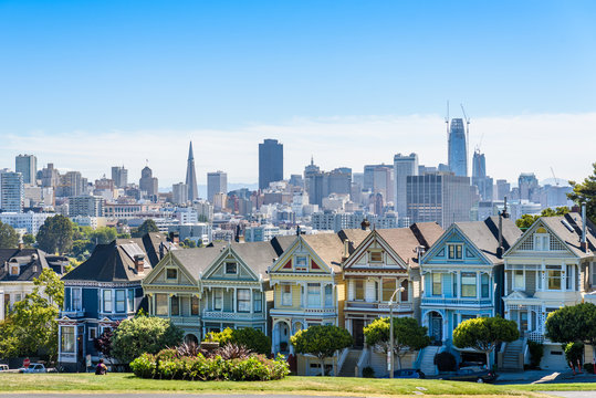 Beautiful view of Painted Ladies, colorful Victorian houses located near scenic Alamo Square in a row, on a summer day with blue sky, San Francisco, California, USA