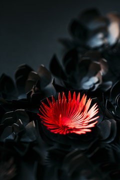 handmade red cardboard flower appears from black background