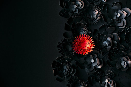 Red flower of hope popping up from black ones