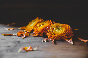 Dropped flowers on floor