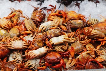 Crab on ice for cooking in street food