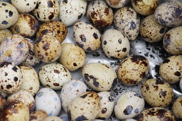 Obraz premium Quail eggs with sauce in street food