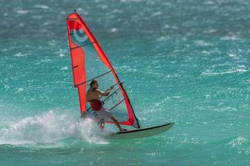 Windsurfer