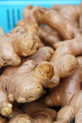Ginger root for cooking in the market