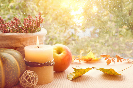 Apple, pumpkin, heather and Autumn leaves on a window board