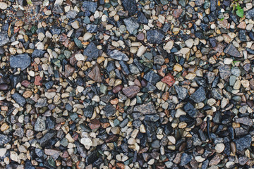 Sea stones background with autumn leaves