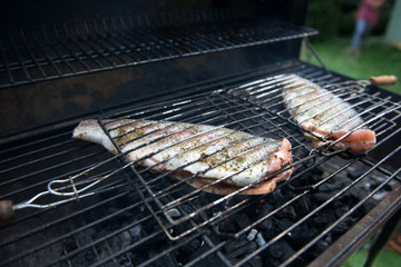 Raw trout fish on the grill.