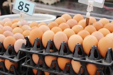 Egg in the panel at the market