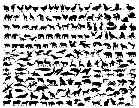 a collection of animal silhouettes