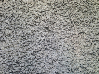 rough concrete wall of cement grey color for textured background. stock vector illustration eps10
